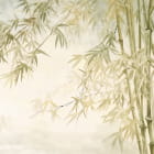 Miniatura fototapety Słoneczny las bambusowy