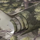 Miniatura fototapety Magia dżungli fragment #1