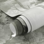 Miniatura fototapety Mglisty las z dziką przyrodą fragment #1