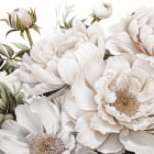 Miniatura fototapety Piwonie w rozkwicie