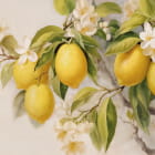 Miniatura fototapety Soczyste cytryny