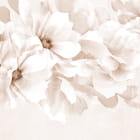Miniatura fototapety Abstrakcyjne magnolie