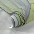 Miniatura fototapety Duże puszyste mlecze fragment #1