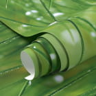 Miniatura fototapety Rosa na trawie fragment #1