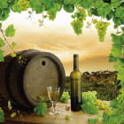 Miniatura fototapety Wino i winogrona