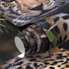 Miniatura fototapety Jaguar fragment #1