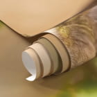 Miniatura fototapety Koliber fragment #1