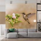 Miniatura fototapety Koliber we wnętrzu salonu