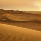 Miniatura fototapety Słoneczna pustynia