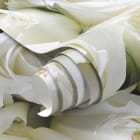 Miniatura fototapety Bukiet białych róż fragment #1