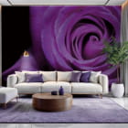 Miniatura fototapety Fioletowa róża we wnętrzu salonu