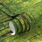 Miniatura fototapety Las natury fragment #1